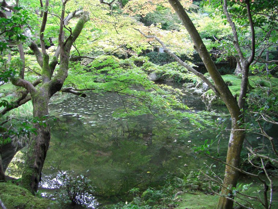 南禅寺その2　（南禅院、三門）_e0017161_22382910.jpg