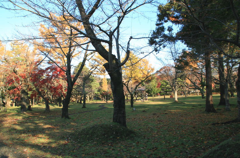 c0112479_7593265.jpg