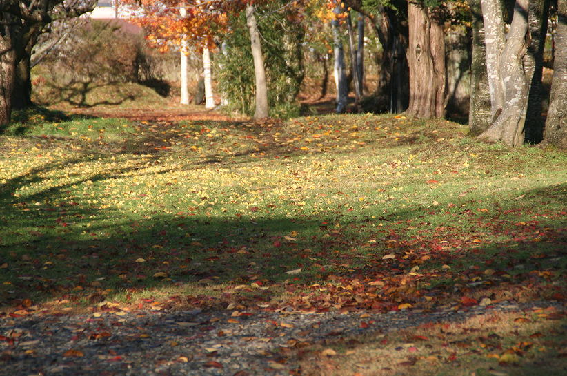 c0112479_80046.jpg