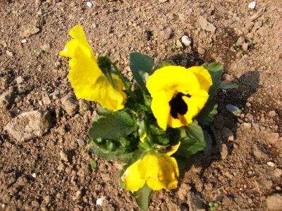 c0078480_0281036.jpg