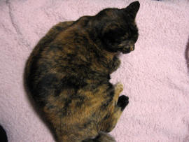 f0091785_1705569.jpg