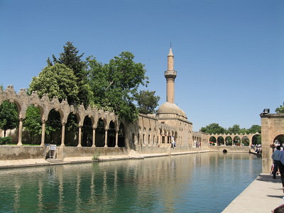 f0058691_9089.jpg