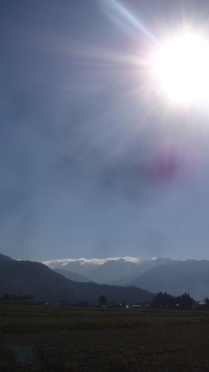 sun shine_d0112893_13351677.jpg