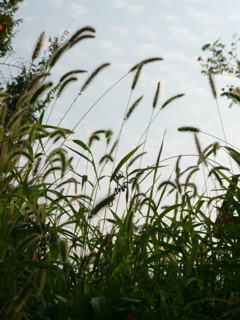 f0146198_0543444.jpg