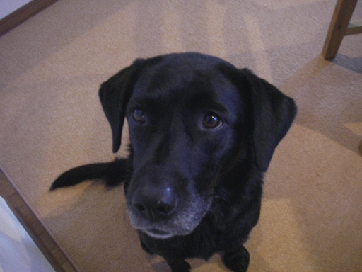 f0034602_21143972.jpg