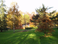 a0060003_9462160.jpg