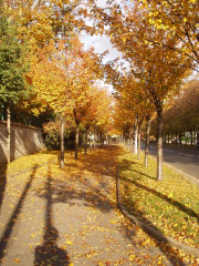 a0060003_948379.jpg
