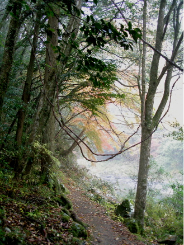 c0036203_1854444.jpg