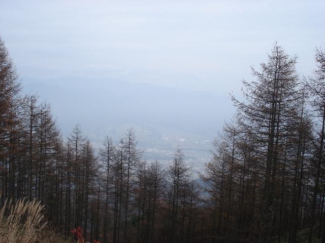 f0084806_11354261.jpg