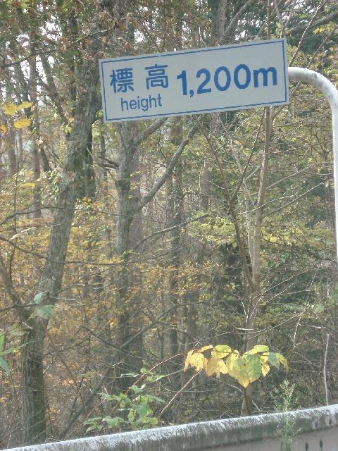 f0084806_13204588.jpg