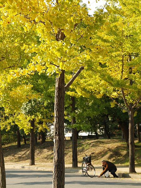 a0041508_0132255.jpg