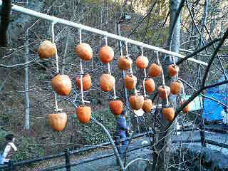 f0127408_17263713.jpg