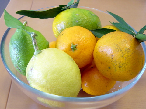 a0093509_22193135.jpg