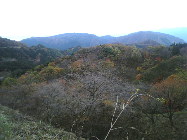 d0071814_2185779.jpg