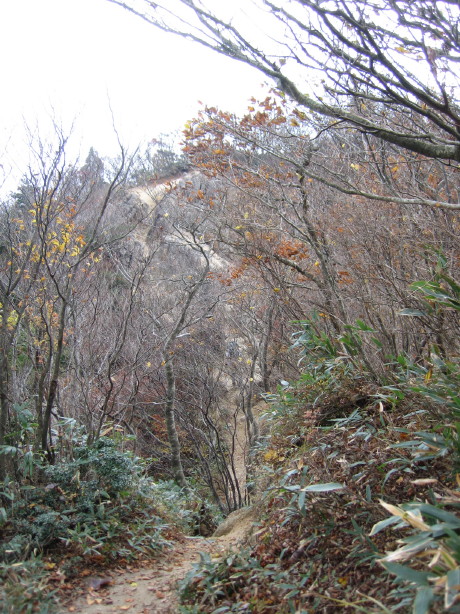 d0103314_23322514.jpg