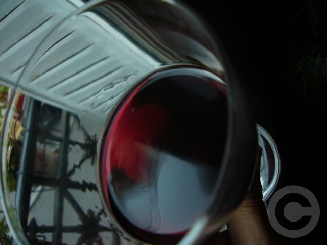 ■Beaujolais Nouveauを囲むソワレ(パリ)_f0063227_915245.jpg