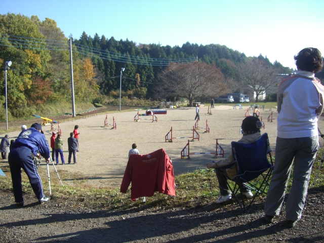 c0123029_2322196.jpg