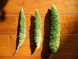 f0013029_1329389.jpg