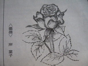 405) 短歌 菱川善夫選「物のある歌」-16・11月18日_f0126829_15114293.jpg
