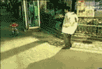 a0015730_1115114.gif
