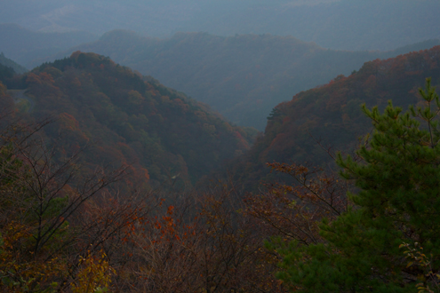 c0014035_1853732.jpg