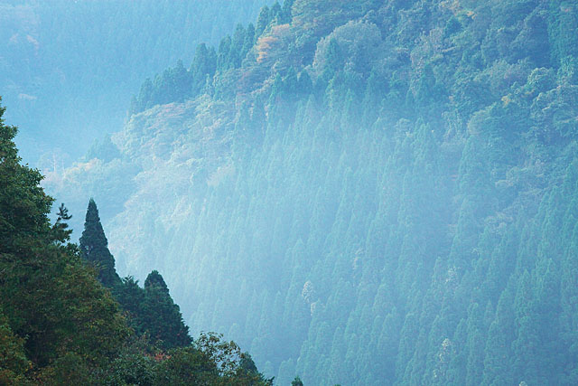 c0067040_22232019.jpg