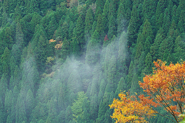c0067040_22234436.jpg