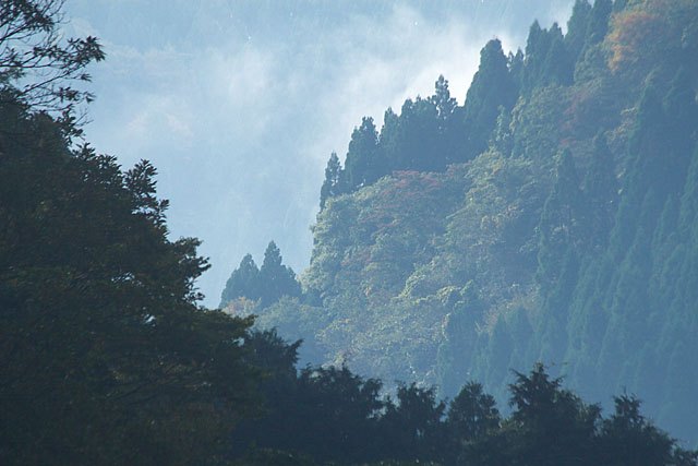 c0067040_22243862.jpg