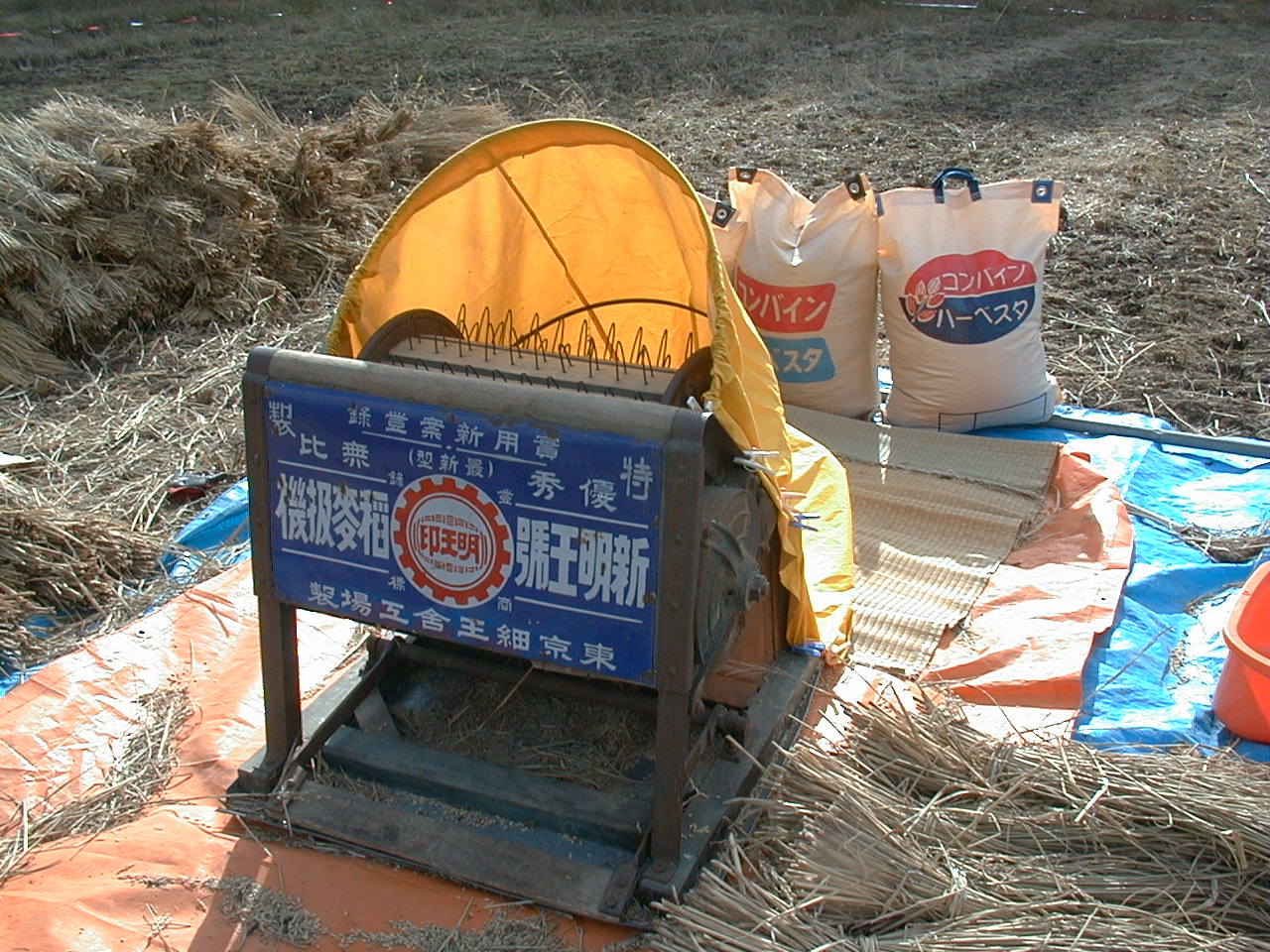 田んぼの様子 ー脱穀ー_f0040341_22153377.jpg
