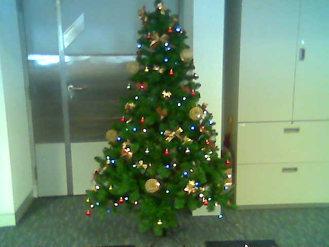 c0119242_0482523.jpg