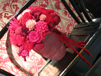 f0134642_2244090.gif