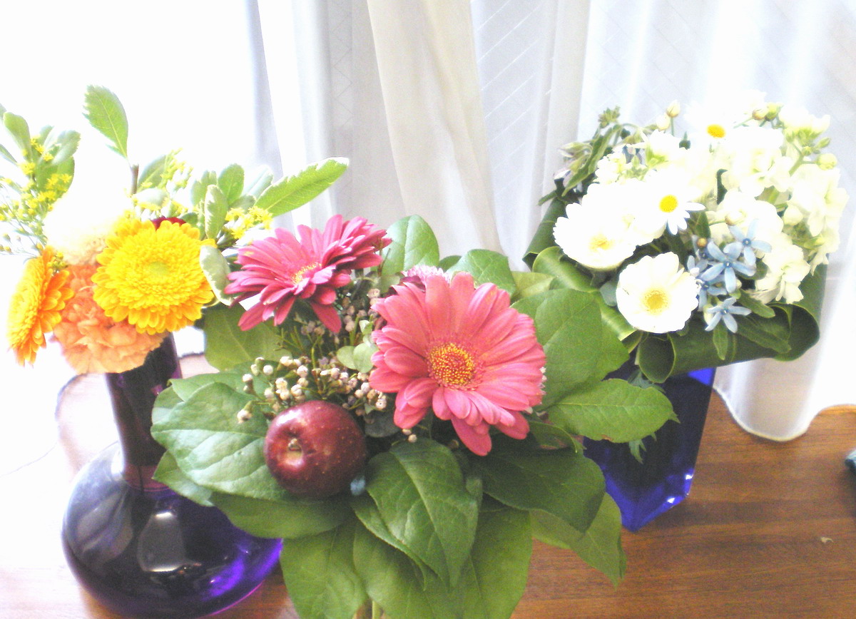 f0079943_1695843.jpg