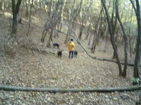 f0090444_22323265.jpg