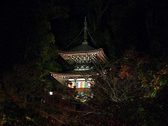 京の紅葉を訪ねて－ダイジェスト版_c0057946_1150398.jpg