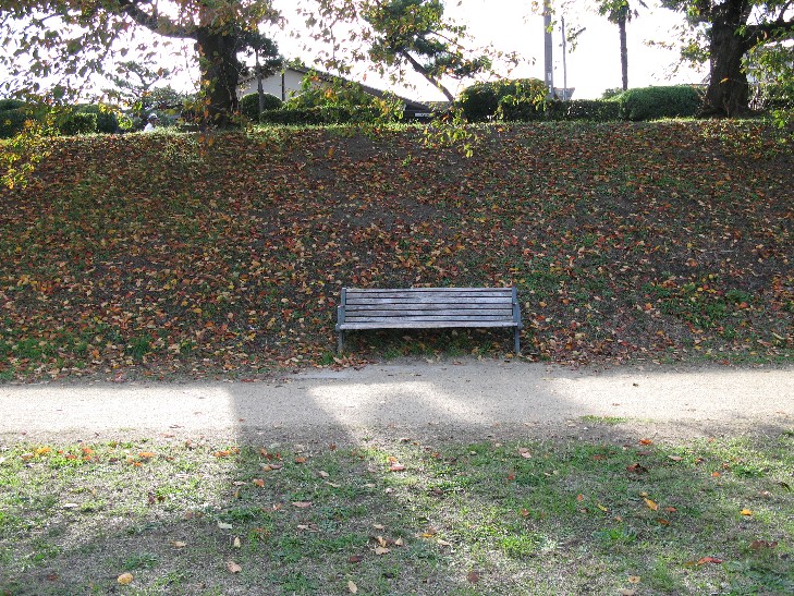 f0152550_18593985.jpg