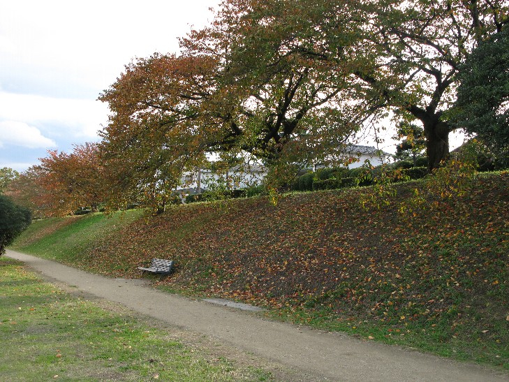 f0152550_194262.jpg