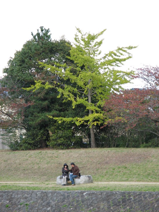 f0152550_1961753.jpg