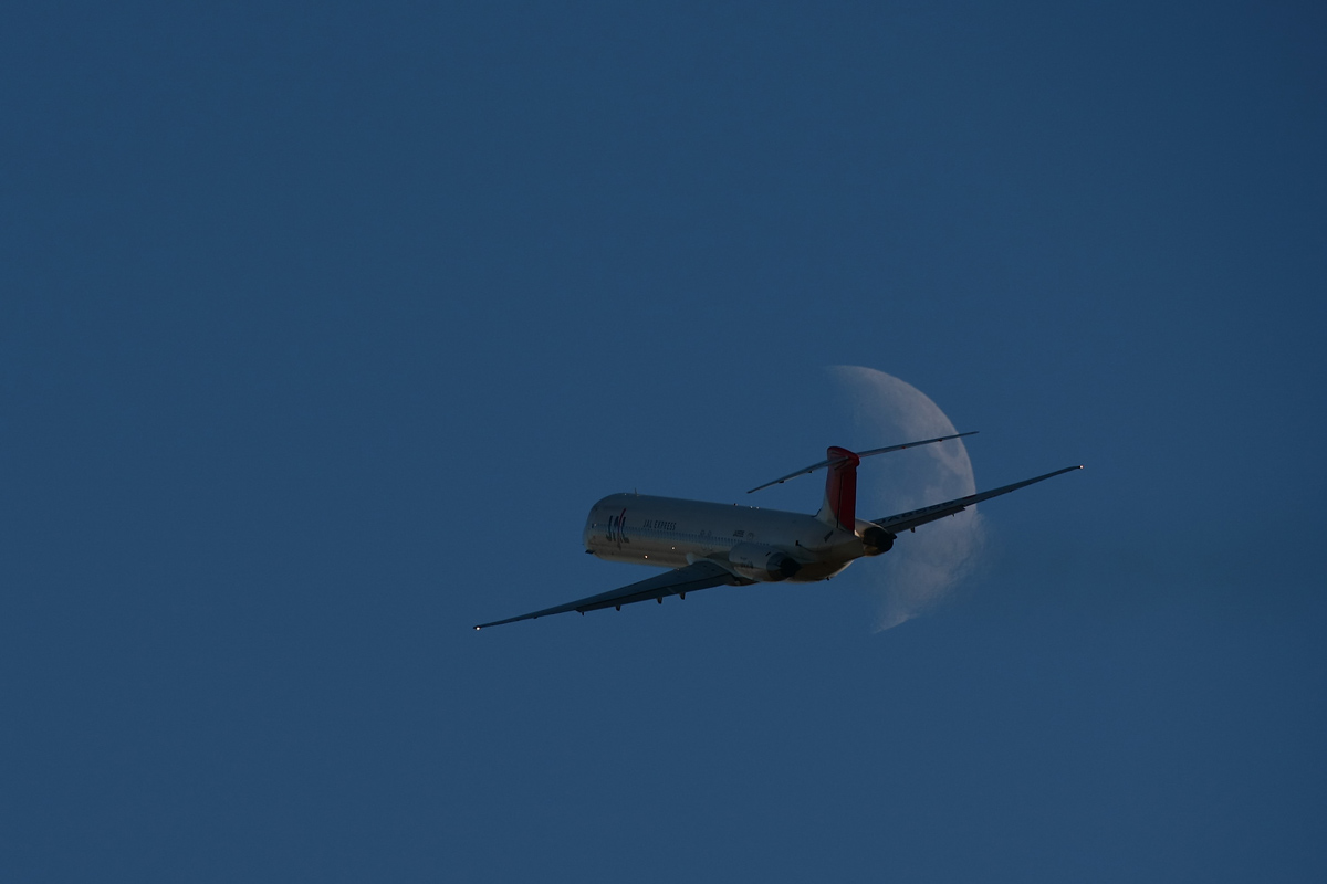 e0104755_03159.jpg