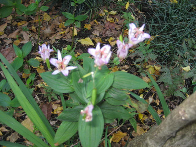 e0116960_10155525.jpg