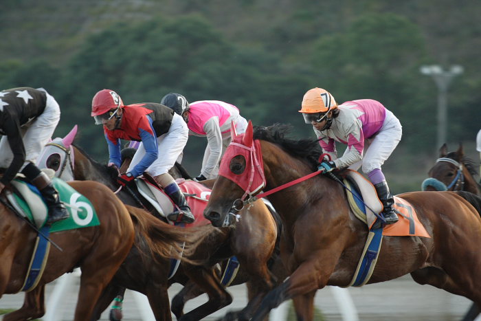 2007年11月17日（土） 高知競馬 11R_a0077663_8591522.jpg