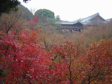 １１月１８日　東福寺_a0009666_828554.jpg