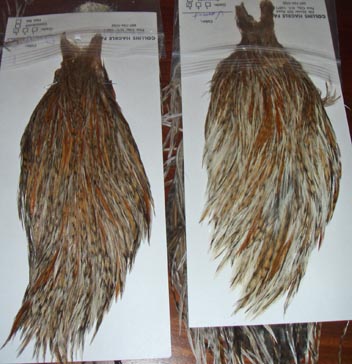 c0127476_1261346.jpg