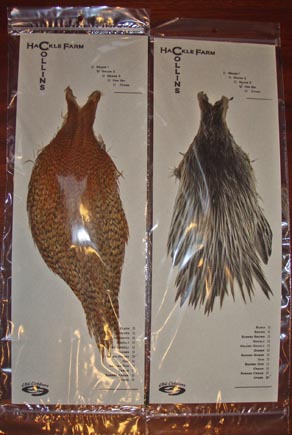 c0127476_7522087.jpg