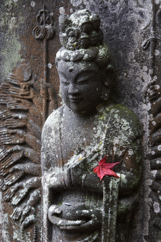 海岸寺の紅葉以外の光景。_f0105478_17584.jpg