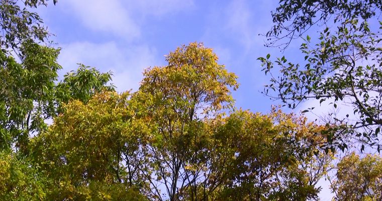 d0020180_8442434.jpg