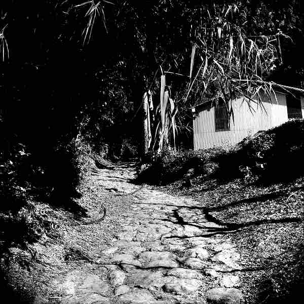 d0045383_10182299.jpg