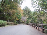 55. 多摩動物公園_c0105785_2105814.jpg