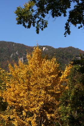b0119190_8444155.jpg