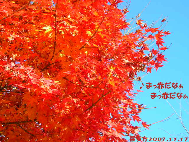c0029190_11153092.jpg