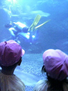f0024291_2373623.jpg